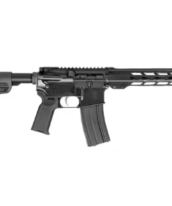 AM - 15 10.5" 300 Blackout Rifle