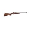 Chipmunk Deluxe Walnut (22 LR)