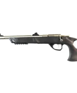 Crickett Adult Pistol (22 LR)