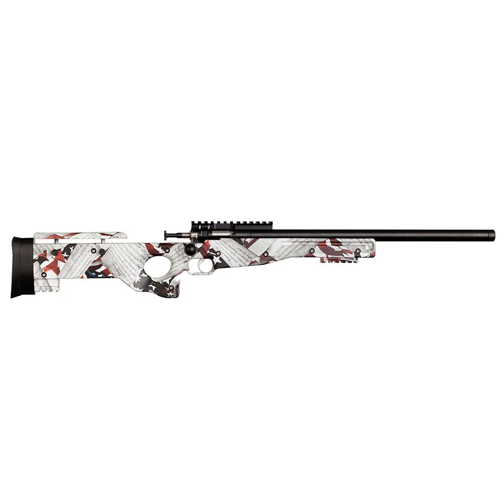 Crickett Precision Rifle (CPR)