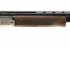 Pointer Arista