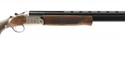 Pointer Arista