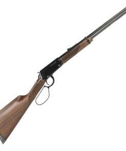 Varmint Express .17 HMR